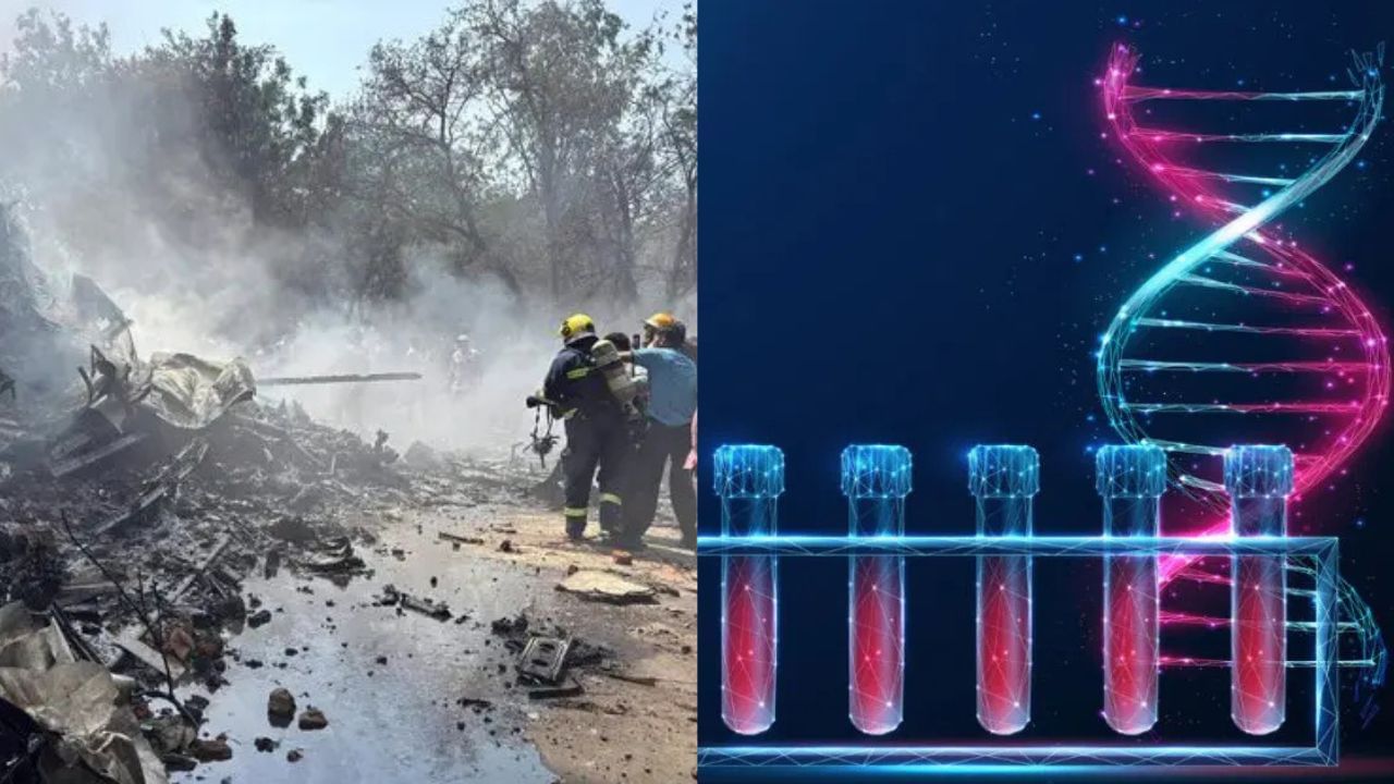 dna in ahmedabad air india plane crash jpg